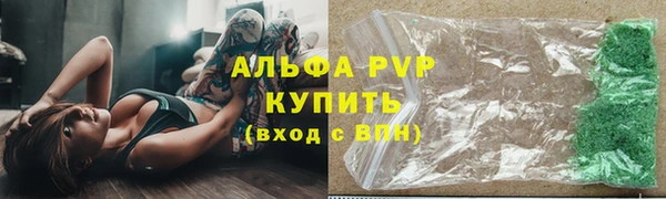 шишки Кодинск