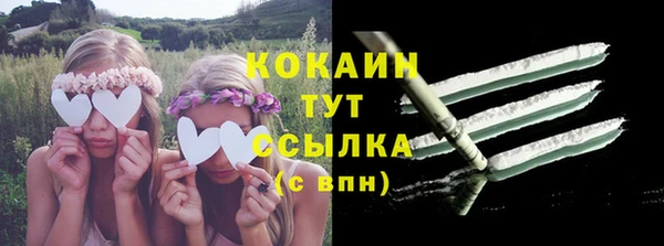 шишки Кодинск