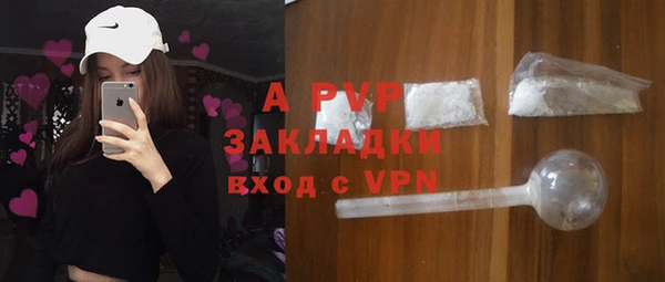 шишки Кодинск