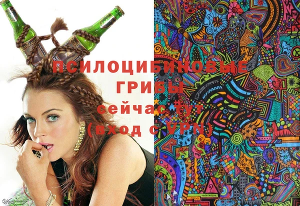 скорость Козельск