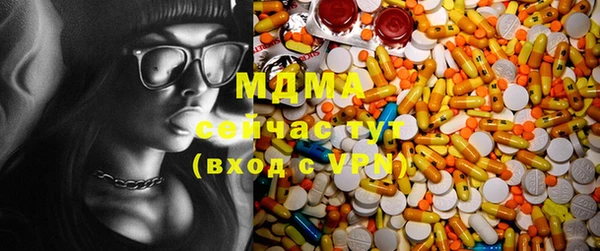 шишки Кодинск