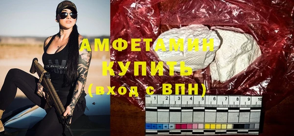 шишки Кодинск
