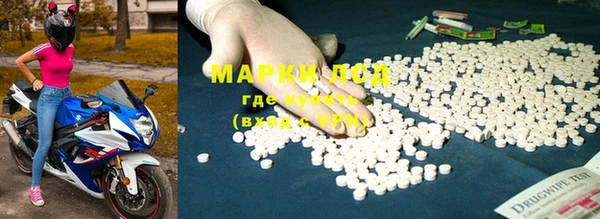 шишки Кодинск