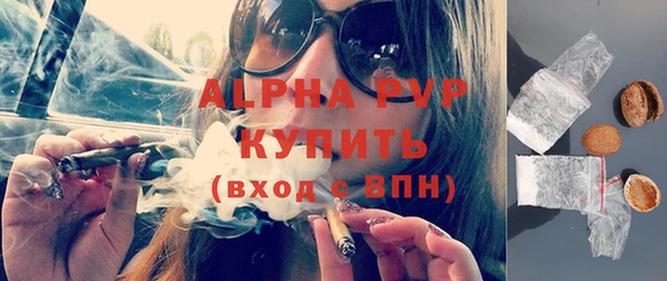 шишки Кодинск