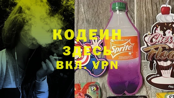 шишки Кодинск